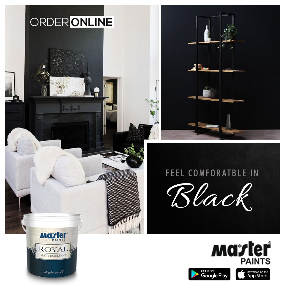 Black Color by Master Paints